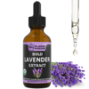 Lavender Extract